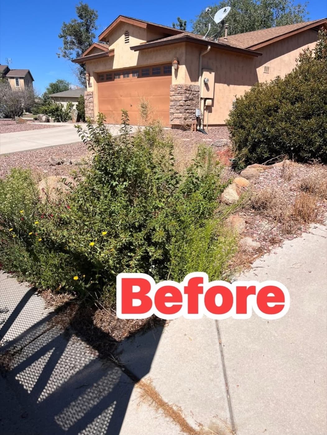 Foundation planting bed before cleanup
